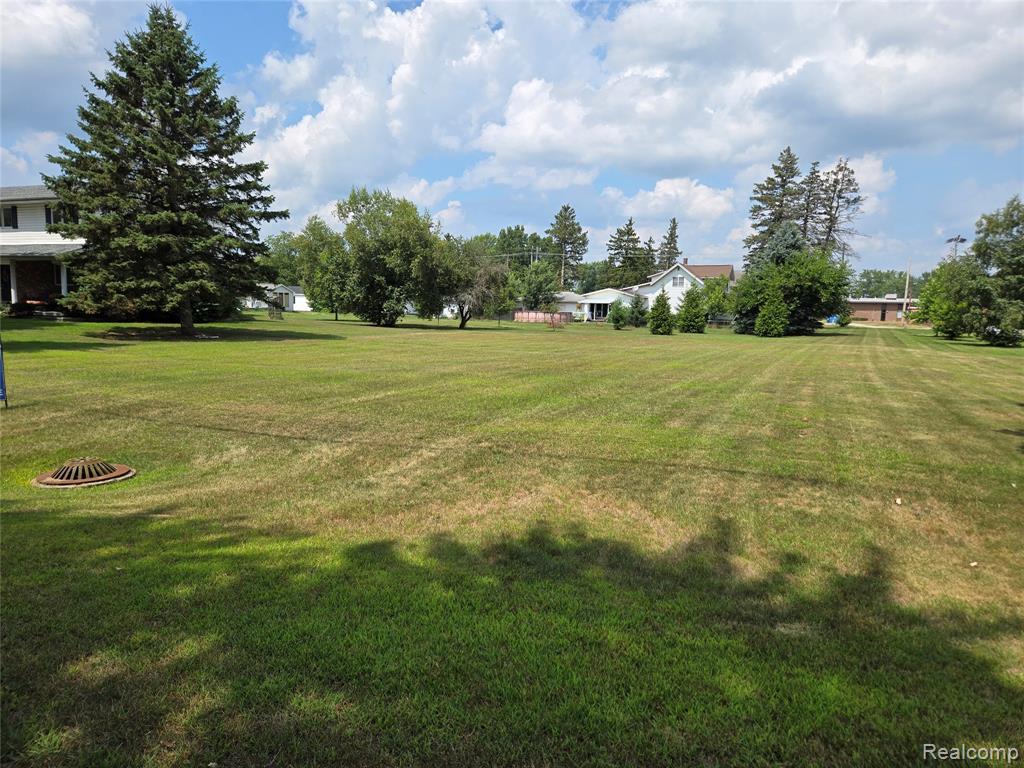 V/L W Liberty Street, Chesaning, MI 48616 — Photo 3