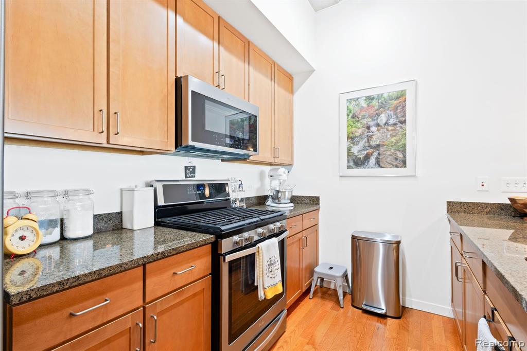 3670 UNIT 412 WOODWARD Avenue, Detroit, MI 48201 — Photo 13