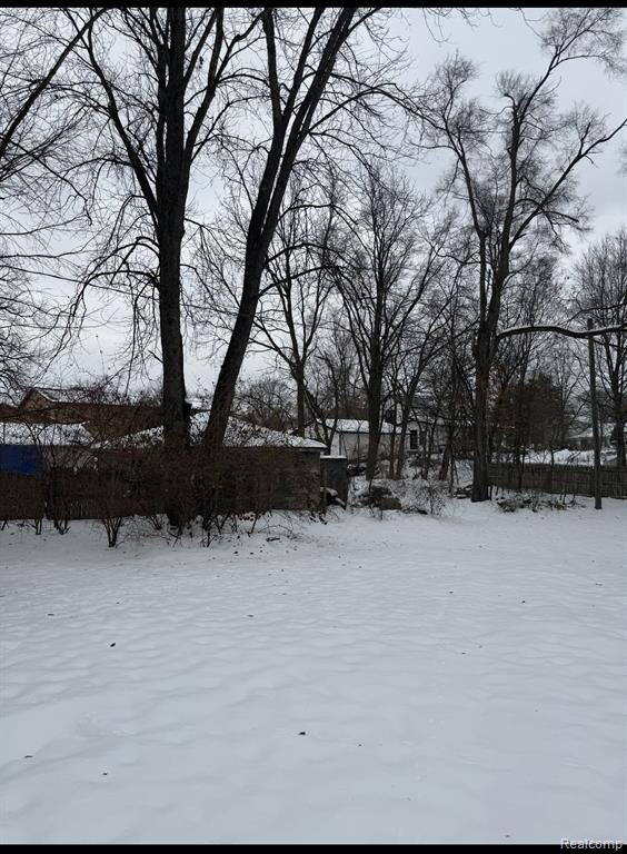 220 Pearl Street, Pinckney, MI 48169 — Photo 2