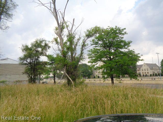 18553 JAMES COUZENS, Detroit, MI 48235 — Photo 10