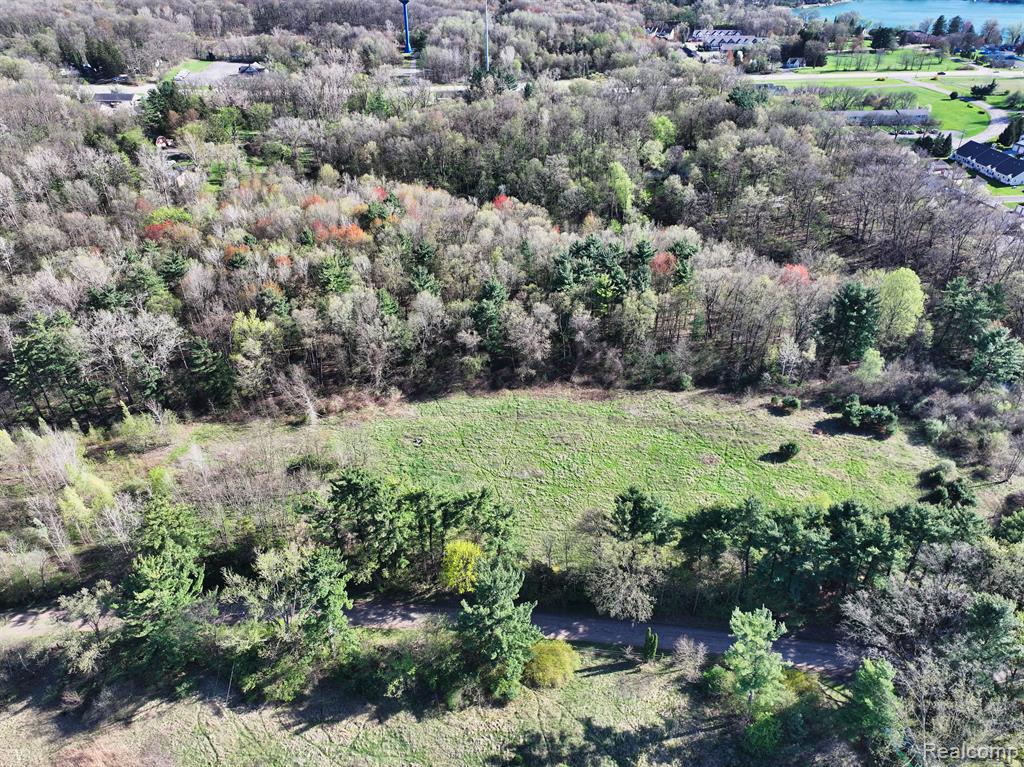 5920 PLEASANT VALLEY Road, Brighton, MI 48116 — Photo 4