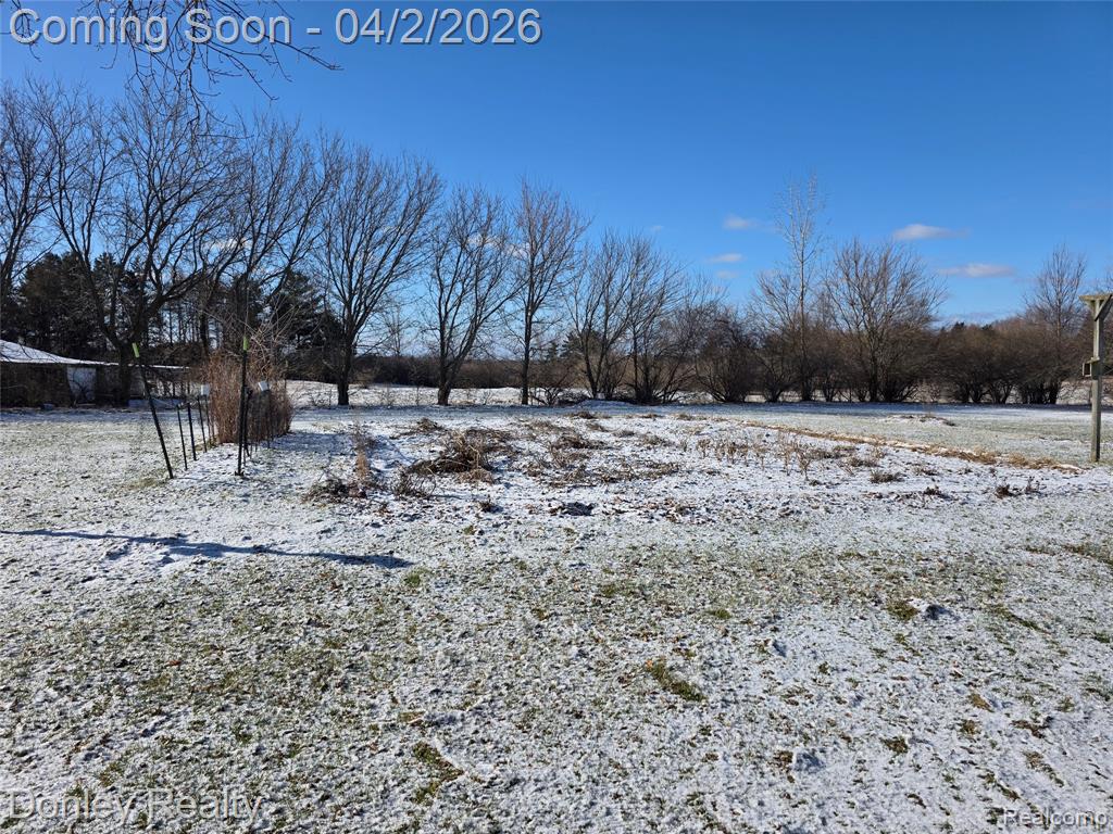 6950 LePage Drive, Brown, MI 48416 — Photo 20
