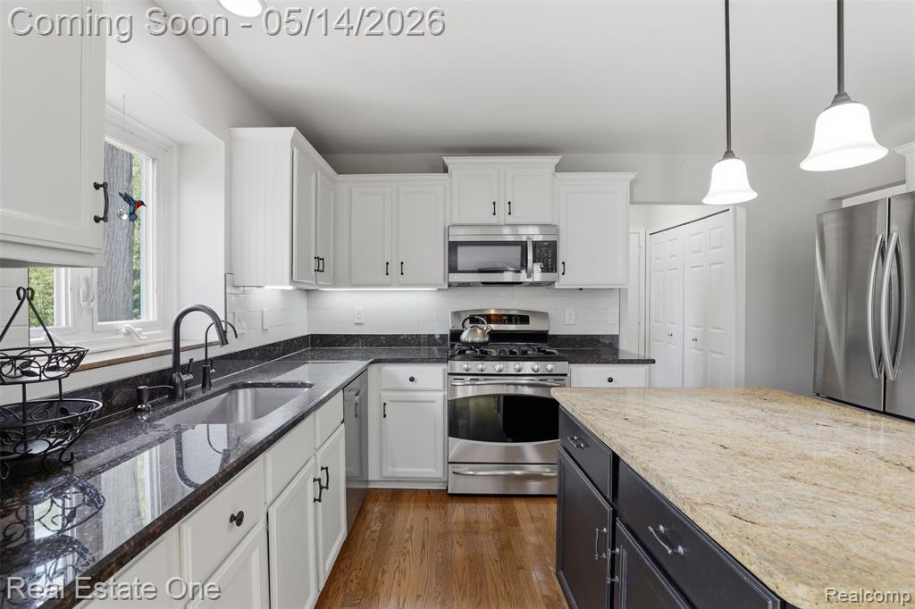 11163 Sand Crane Way, South Lyon, MI 48178 — Photo 19