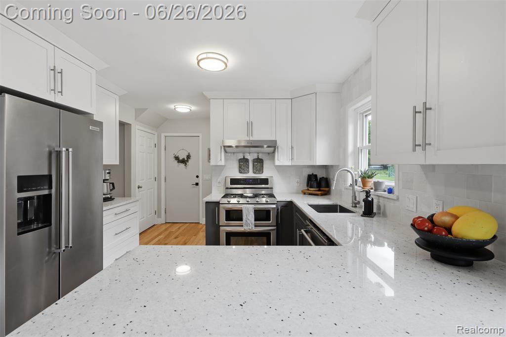 60569 Town Square Street, New Hudson, MI 48165 — Photo 11