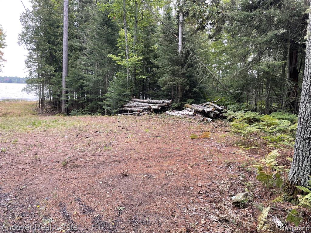 Lot# 11 Western, MI — Photo 7