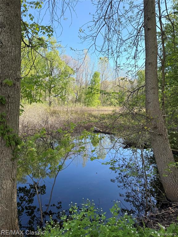 3699 Old Plank Road, Milford, MI 48381 — Photo 36