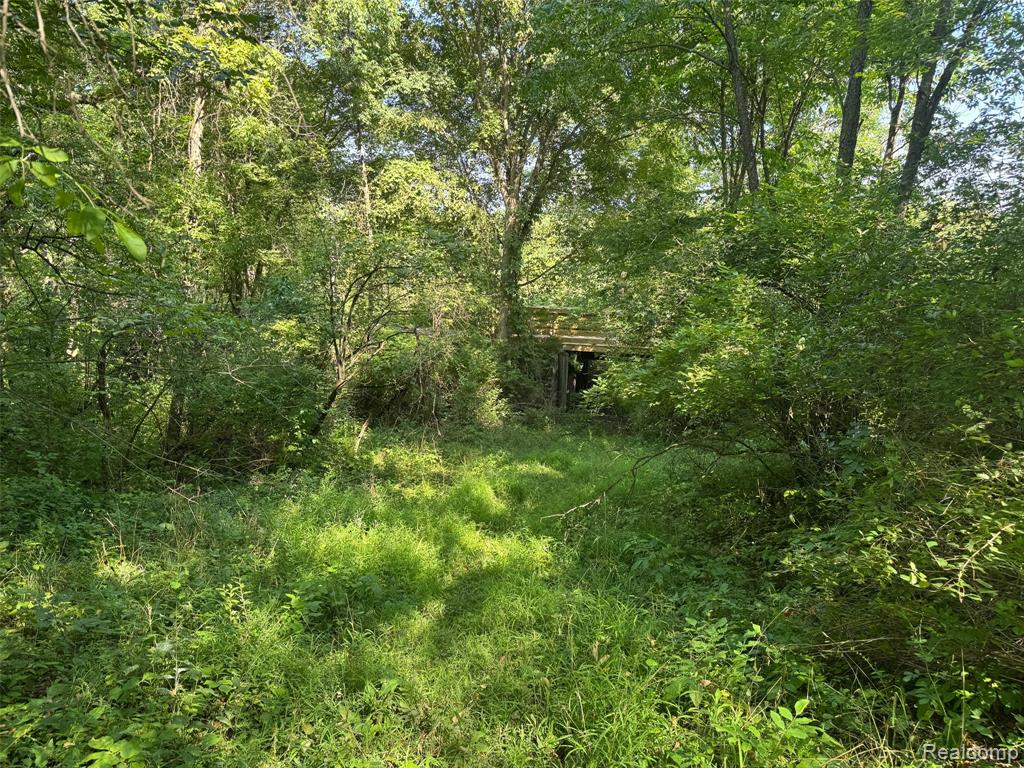 VL S Mill Road, Dryden, MI 48428 — Photo 9