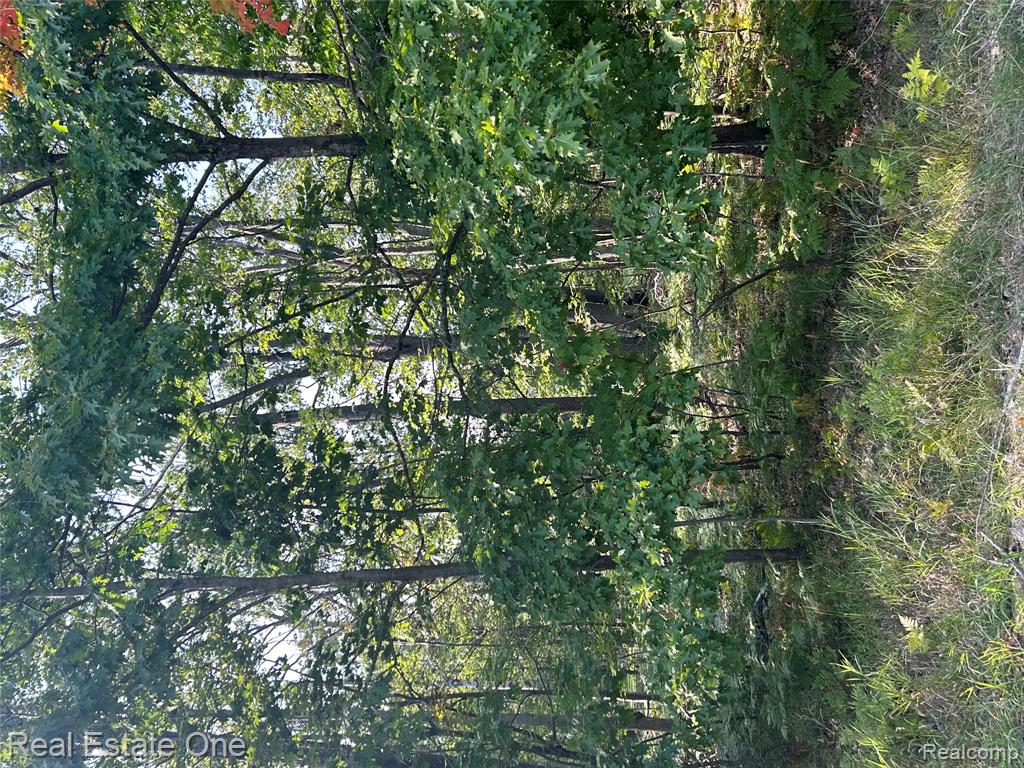 LOTS 1797 and 1798 Sandpiper Trail, Gaylord, MI — Photo 2