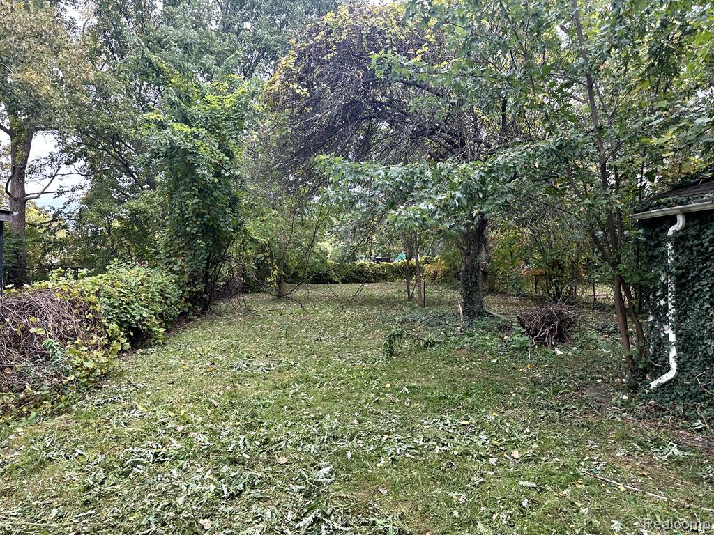 3950 CADIEUX Road, Detroit, MI, 48224