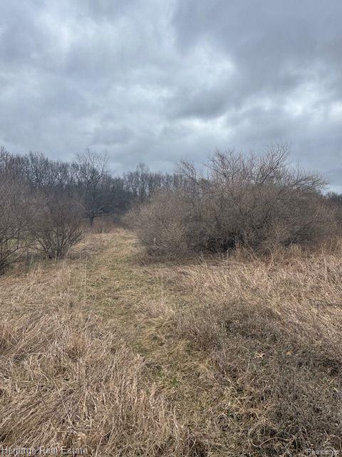 Lot 7 Rosy Drive, Leonard, MI 48367 — Photo 6
