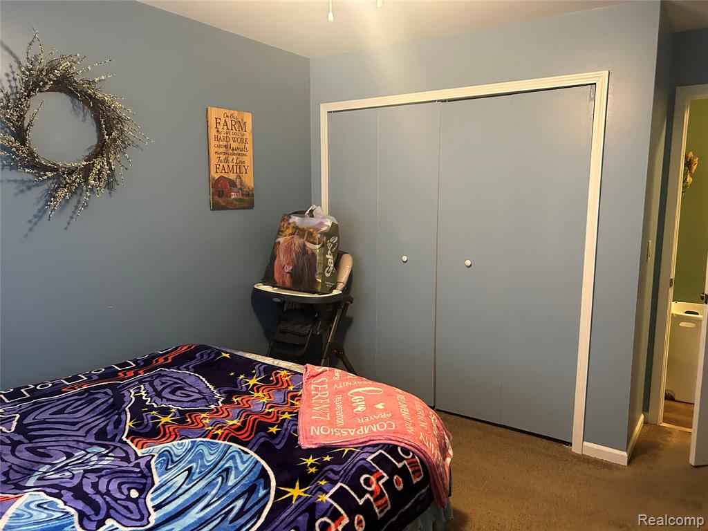 10150 Sharp Road, Swartz Creek, MI 48473 — Photo 17
