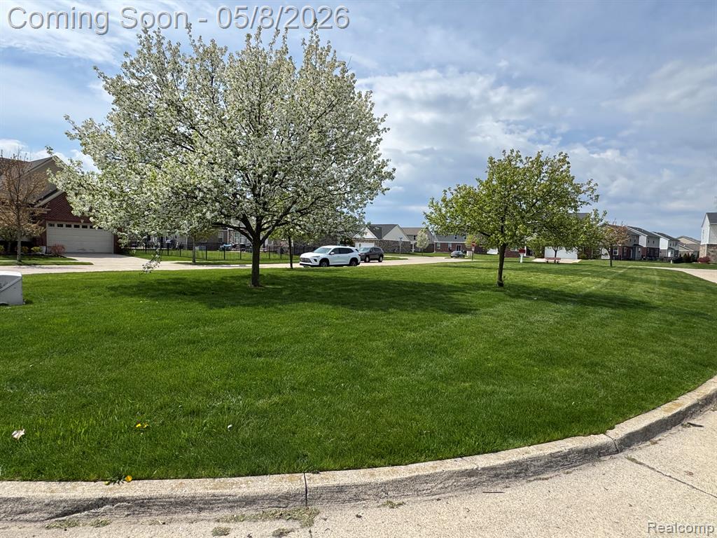 20489 Damask Circle, Clinton Twp, MI 48038 — Photo 8
