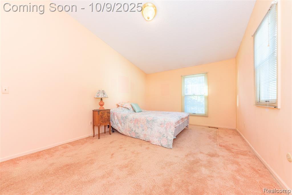 42265 S Mill Race Court, Plymouth, MI 48170 — Photo 22