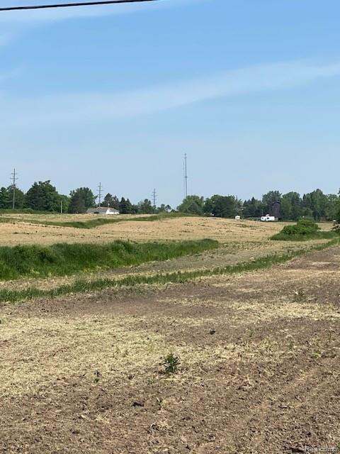 7451 Fostoria Road, Mayville Vlg, MI 48744 — Photo 10