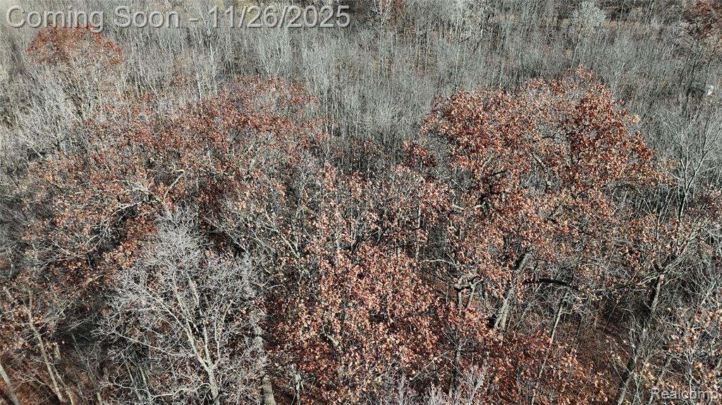 9300 Bath Road, Laingsburg, MI 48848 — Photo 16