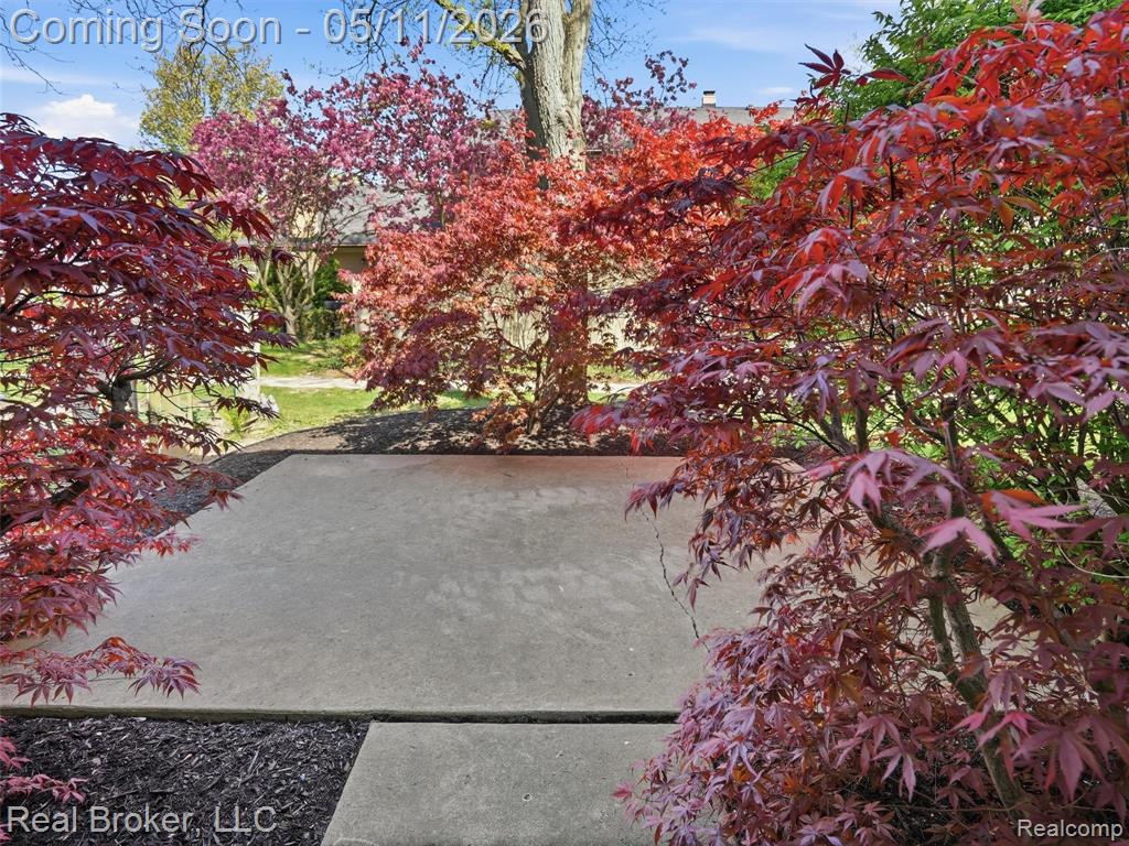 42115 E Edward Drive, Clinton Twp, MI 48038 — Photo 37