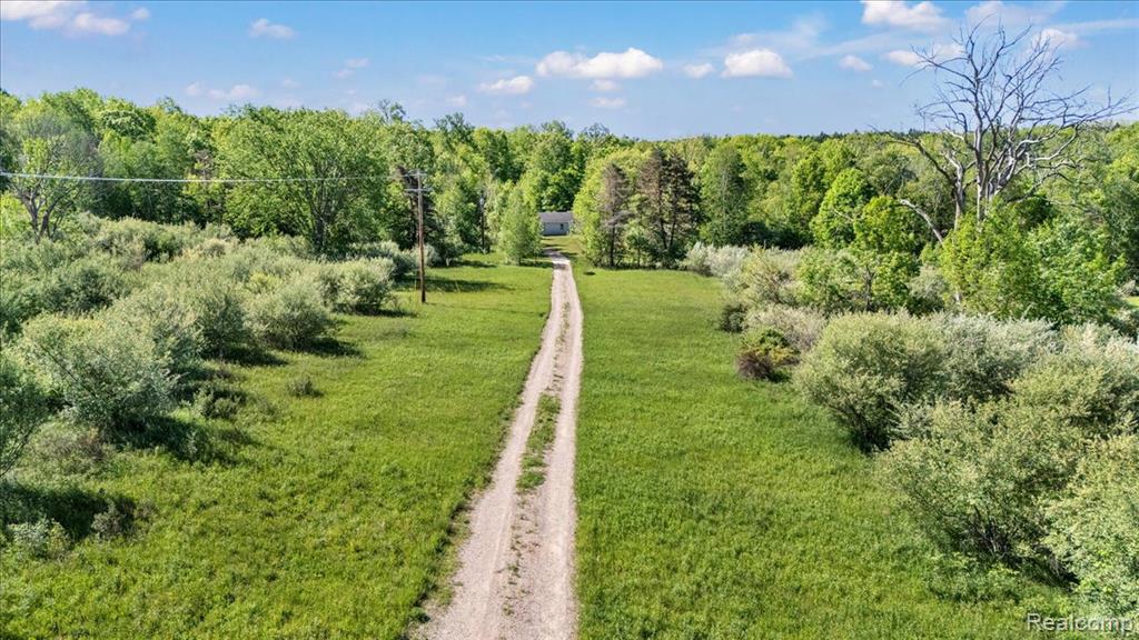 6250 Stine Road, Imlay City, MI 48444 — Photo 2