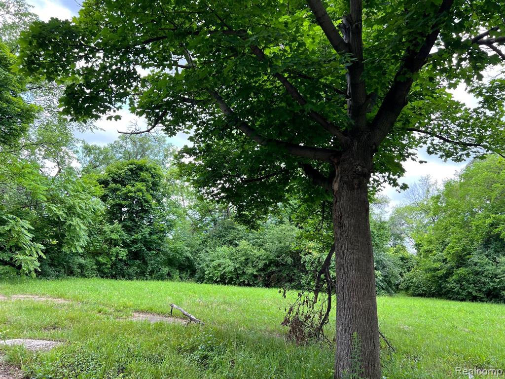 2417 W EDSEL FORD, Detroit, MI 48208 — Photo 4