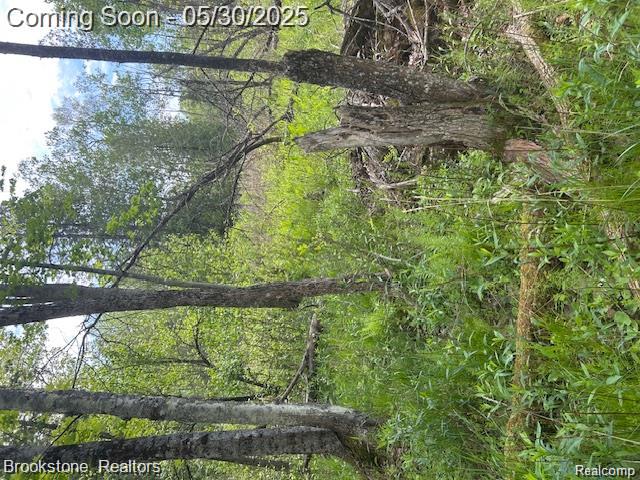 4148 Blue Vista Drive, Evart, MI 49631 — Photo 27
