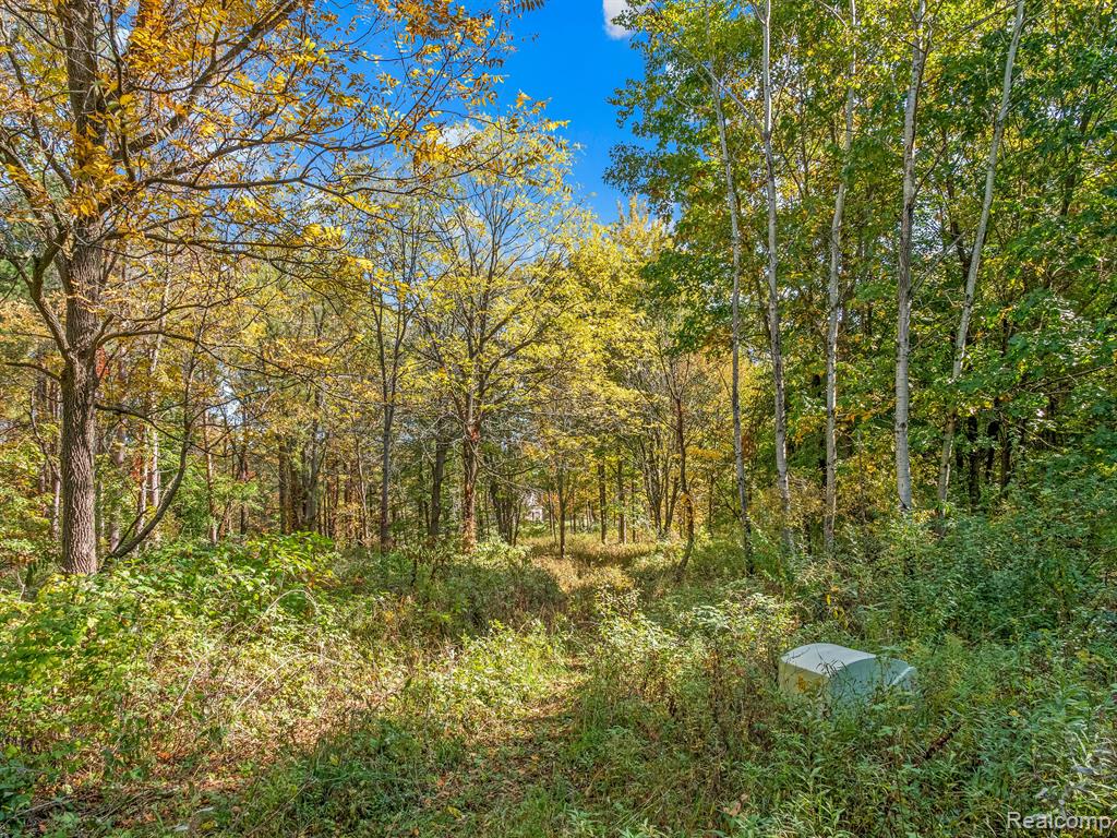 4695 Waterwood Way, Howell, MI 48855 — Photo 15