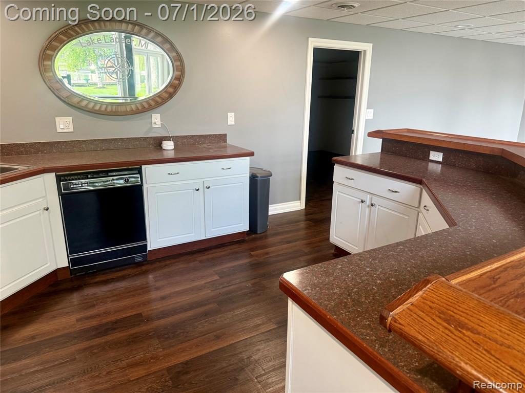 3780 Lake Lapeer Drive, Metamora, MI 48455 — Photo 64