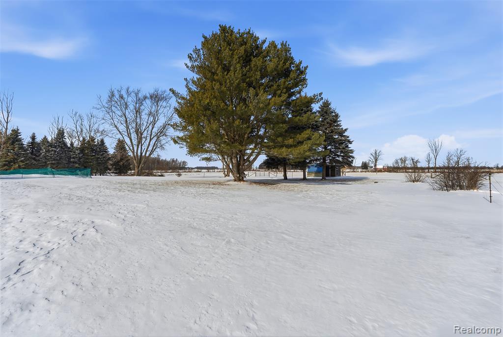 12847 Rathbun Road, Birch Run, MI 48415 — Photo 49