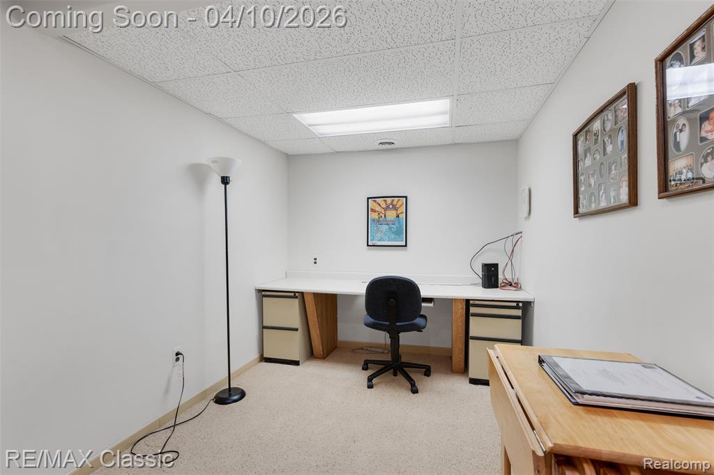 28085 Marcellus Drive, South Lyon, MI 48178 — Photo 49