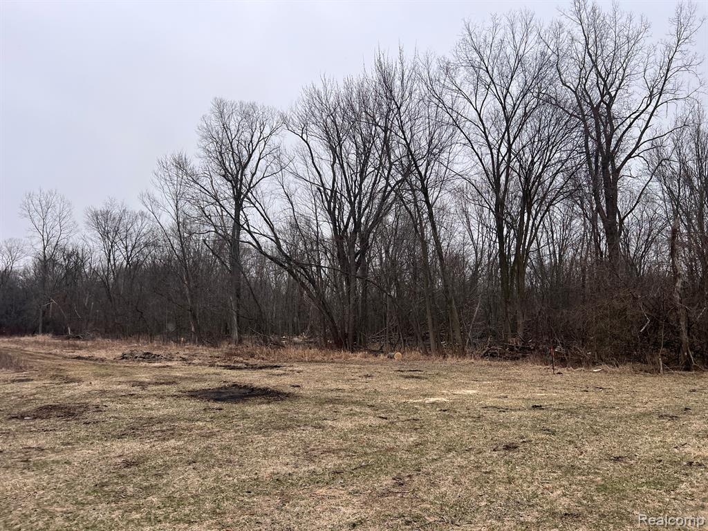 VL Washington Street, Perry, MI 48872 — Photo 3