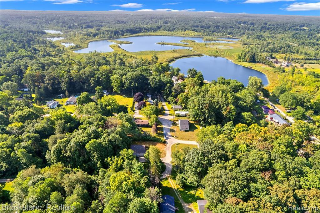 4347 Grove Drive, Dryden, MI 48428 — Photo 8