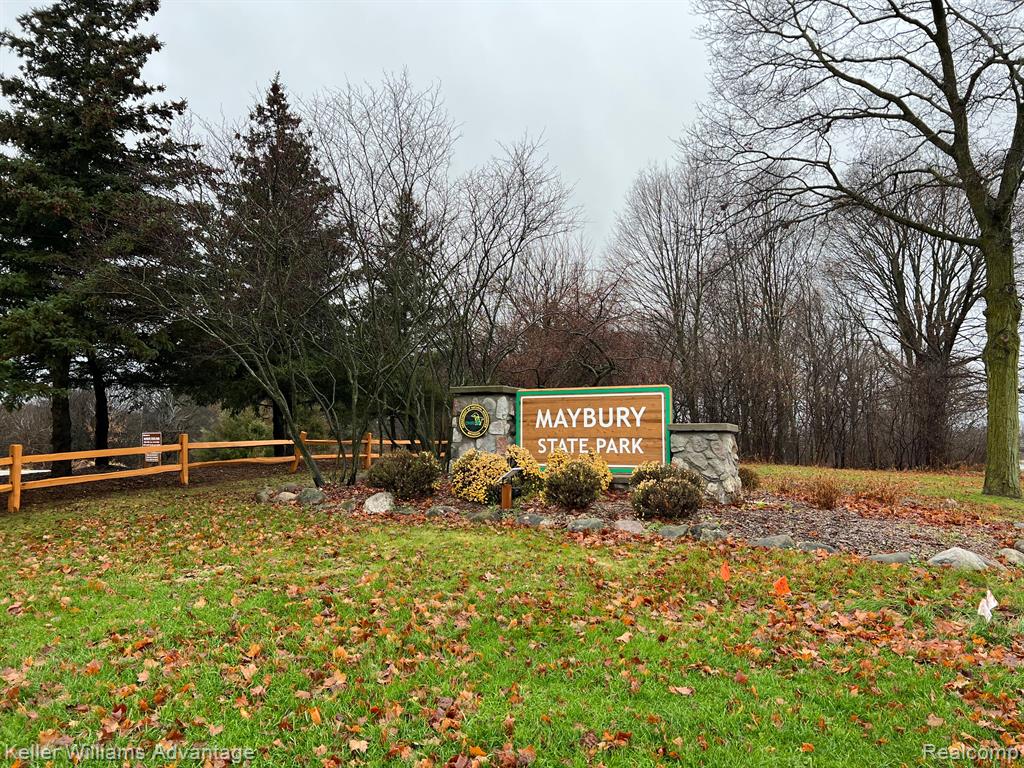 21183 E CHIGWIDDEN Street, Northville, MI 48167 — Photo 35