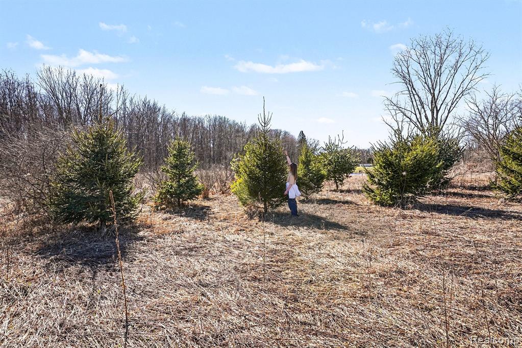 6951 Fish Lake Road, Holly, MI 48442 — Photo 2