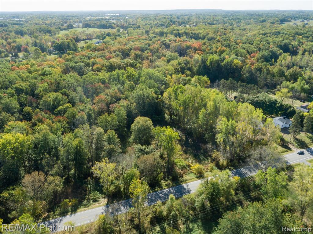 South of 12111 Linden Rd Linden Road, Linden, MI 48451 — Photo 5