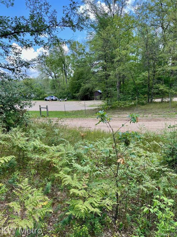 6629 S Tampa, Idlewild, MI 49642 — Photo 6