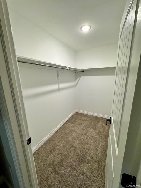 5573 Branch Street, Sterling Heights, MI 48310 — Photo 18