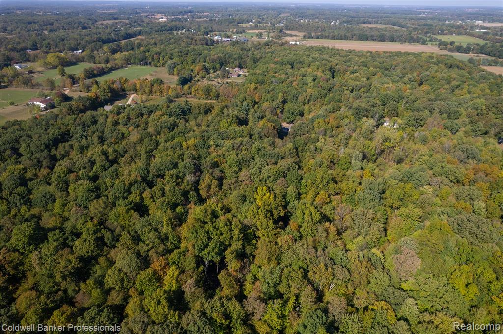 2782 Gravel Creek Road, North Branch, MI 48461 — Photo 43