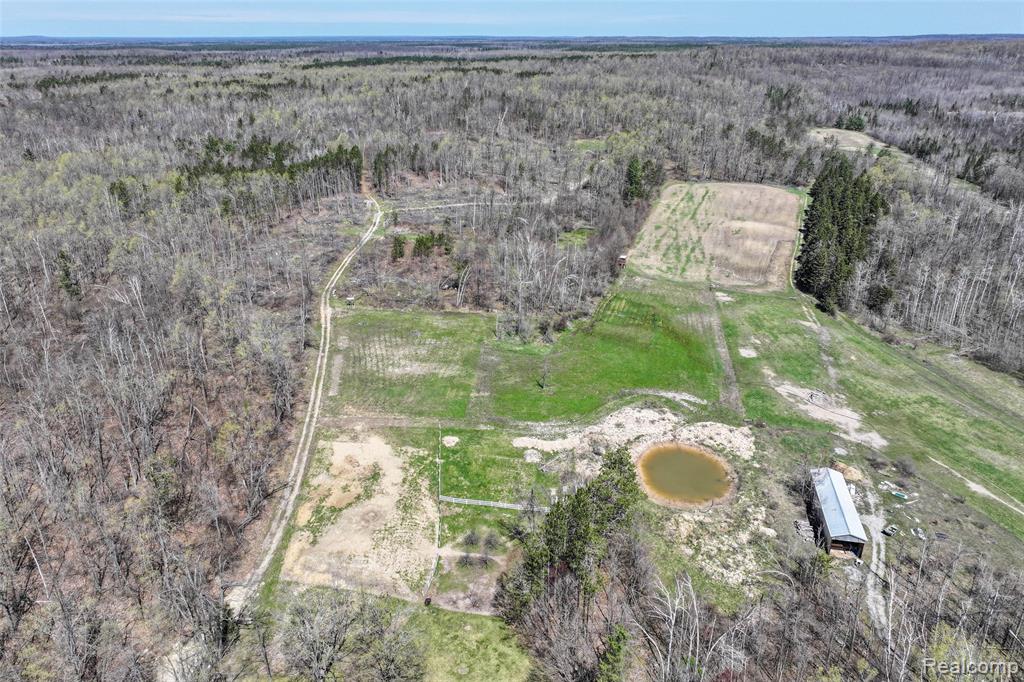 1064 W Helmer Lake Road, Mio, MI 48647 — Photo 56