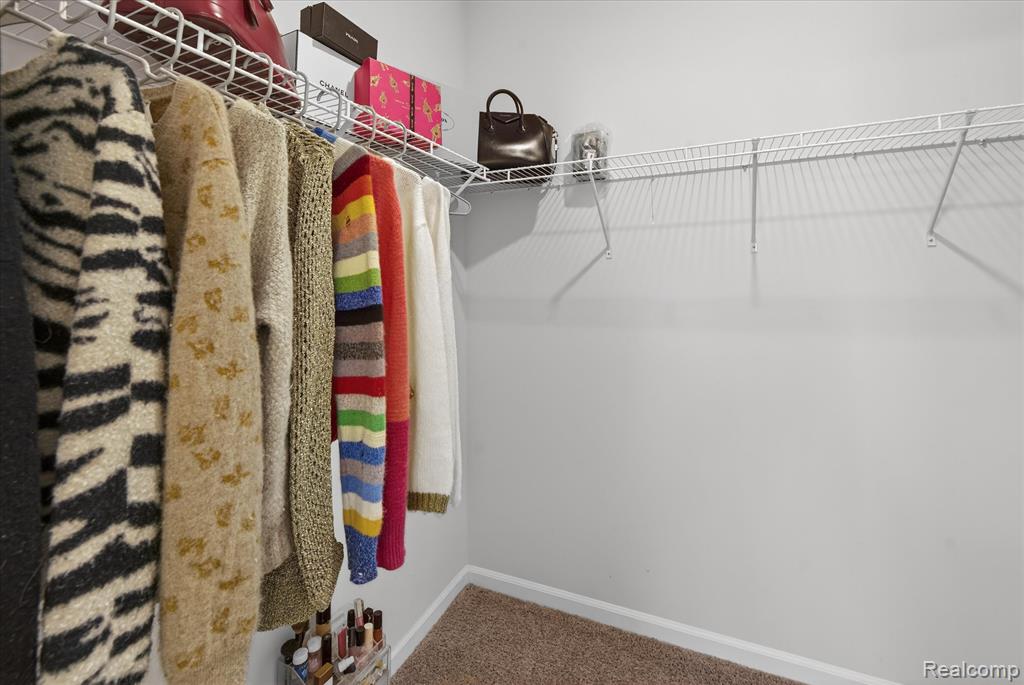 8060 Carston Lane, Brighton, MI 48116 — Photo 23