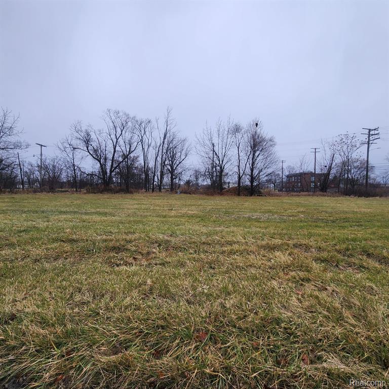 2206 SAINT JOSEPH Street, Detroit, MI 48207 — Photo 6