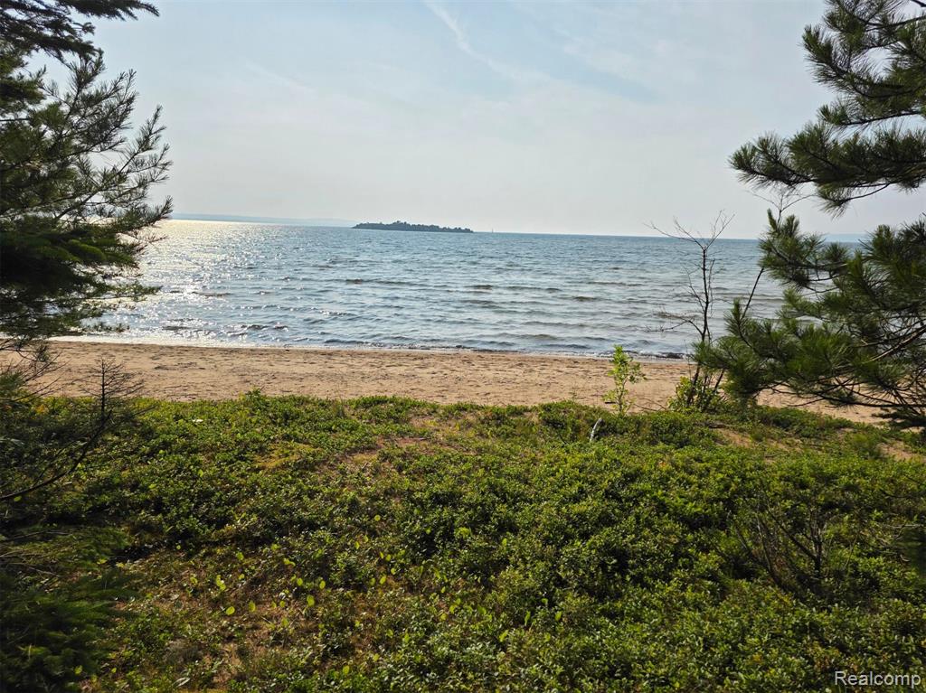 4680 S Pineshore Row, Brimley, MI 49783 — Photo 15