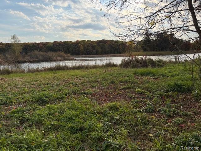 4886 Harding Avenue, Clarkston, MI — Photo 10