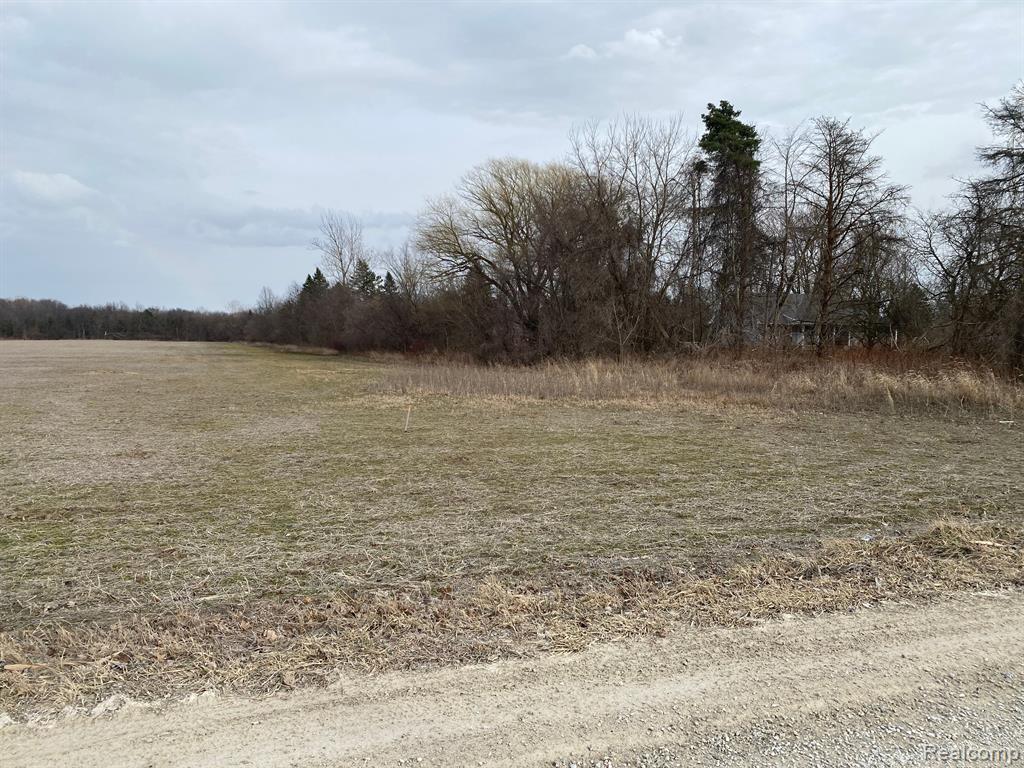 0002 HOWLAND Road, Almont, MI 48003 — Photo 22