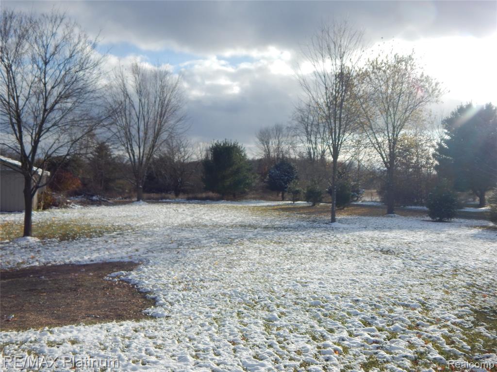 10321 E Lovejoy Road, Perry, MI 48872 — Photo 51
