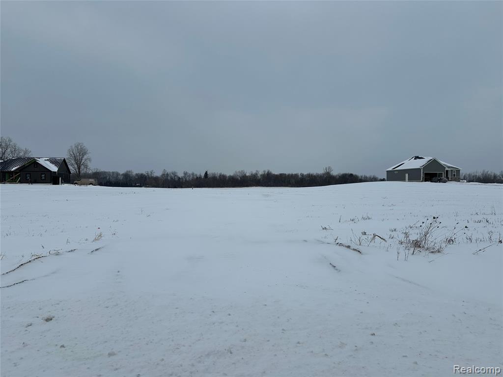 4557 Imlay City Road, Attica, MI 48412 — front exterior