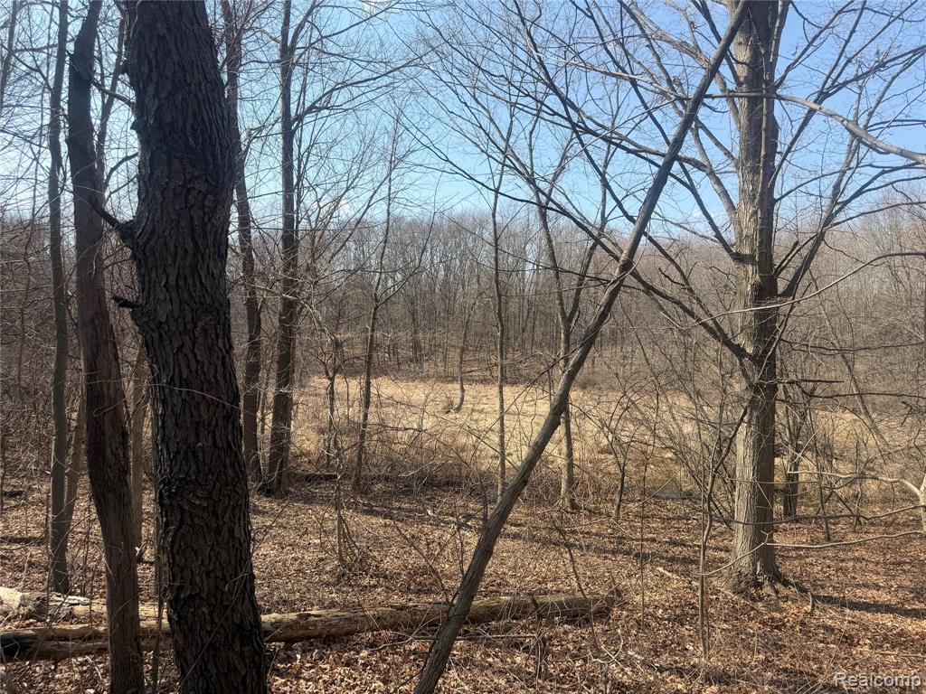 V/L Fulton, Mayville Vlg, MI 48744 — Photo 19