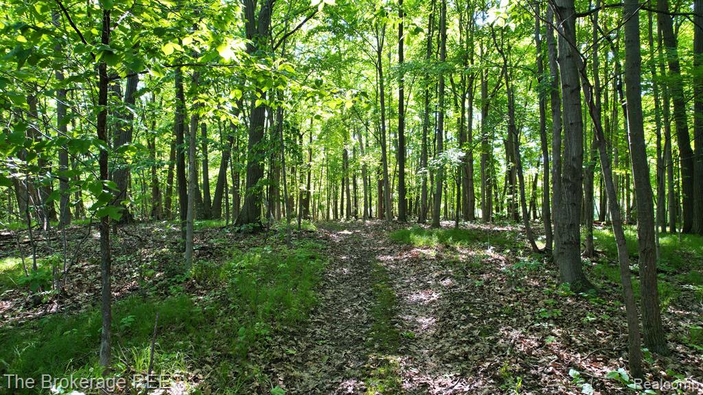 4077 ATLAS Road, Davison, MI 48423 — Photo 73