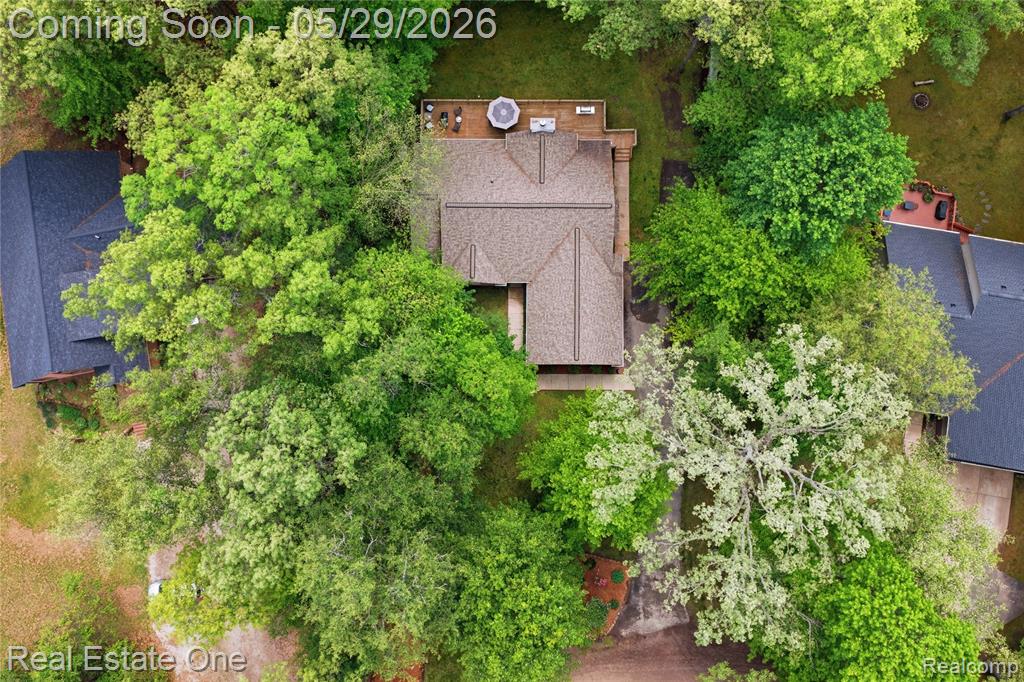 4640 Oak Lane, Whitmore Lake, MI 48189 — Photo 6