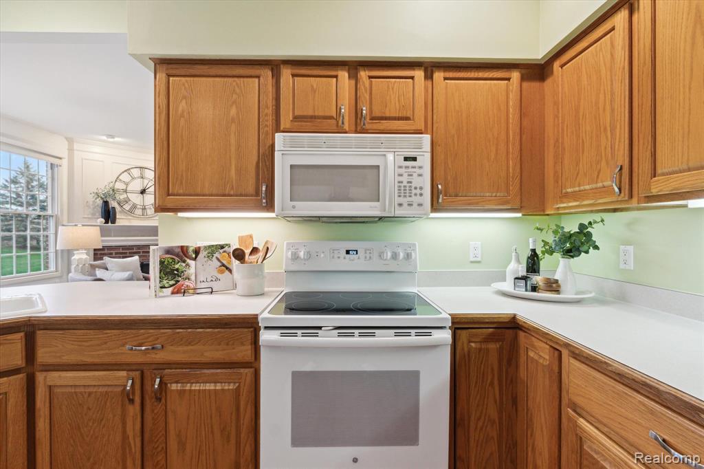 51300 NORTHVIEW, Plymouth, MI 48170 — Photo 13