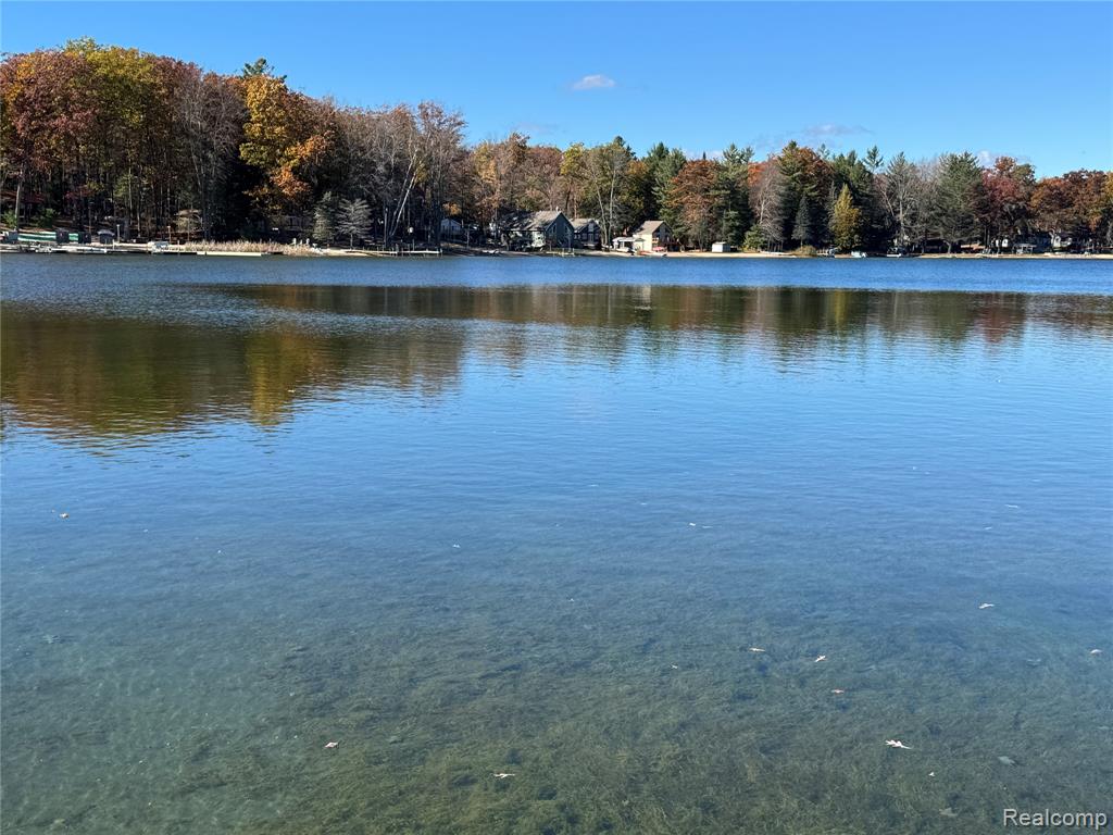 7099 Jose Lake Road, South Branch, MI 48761 — Photo 11