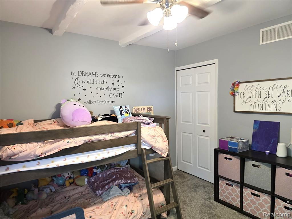 397 University Avenue, South Lyon, MI 48178 — Photo 18