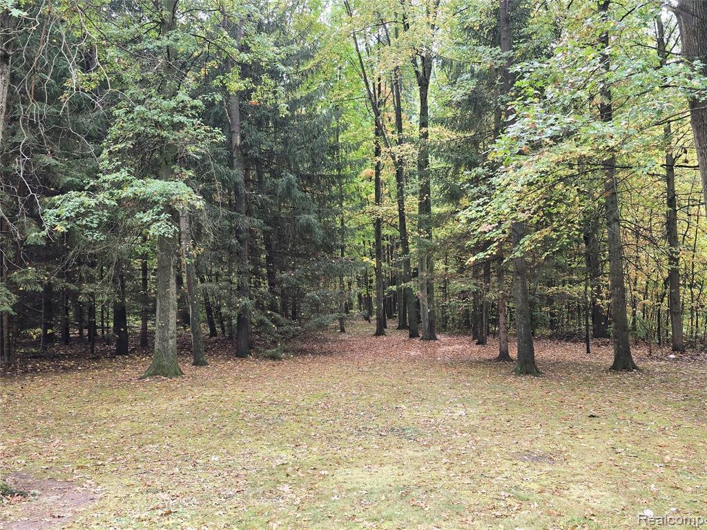44611 Harris Road, Belleville, MI 48111 — Photo 5